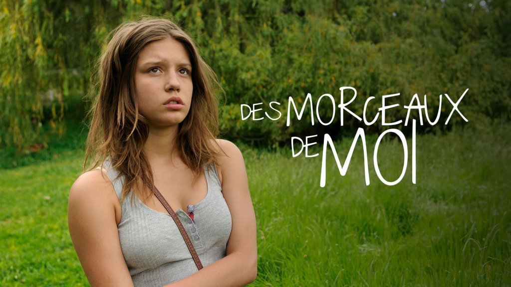 Des Morceaux De Moi En Streaming France TV