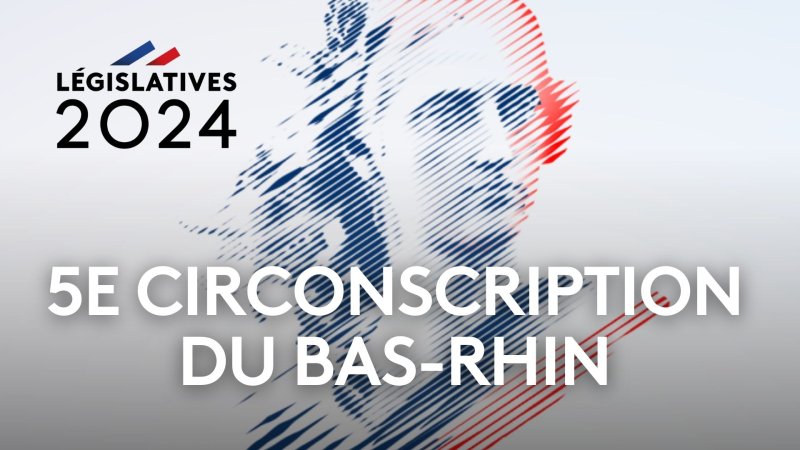 Elections L Gislatives D Bat De La E Circonscription Du Bas