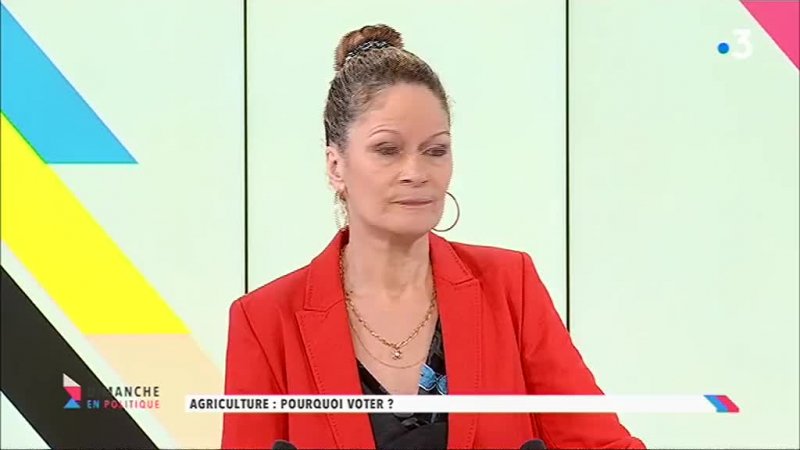 Mission Du Dimanche Janvier En Replay Dimanche En Politique