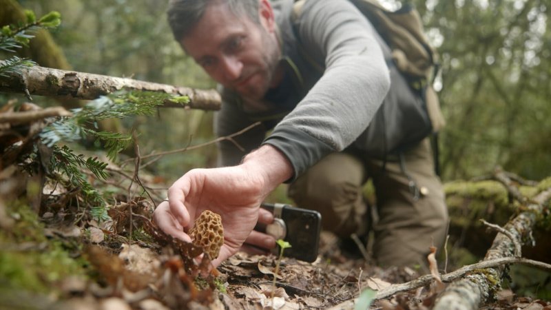 Mission Du Jeudi Octobre Documentaire En Replay