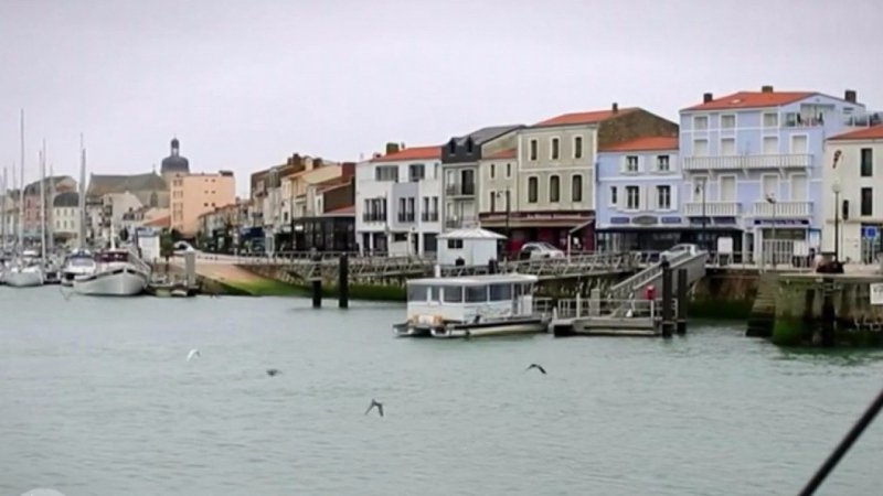 Replay C est au programme C est au programme Partez pour lîle Penotte