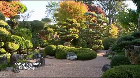 Ce que nous disent les jardins zen