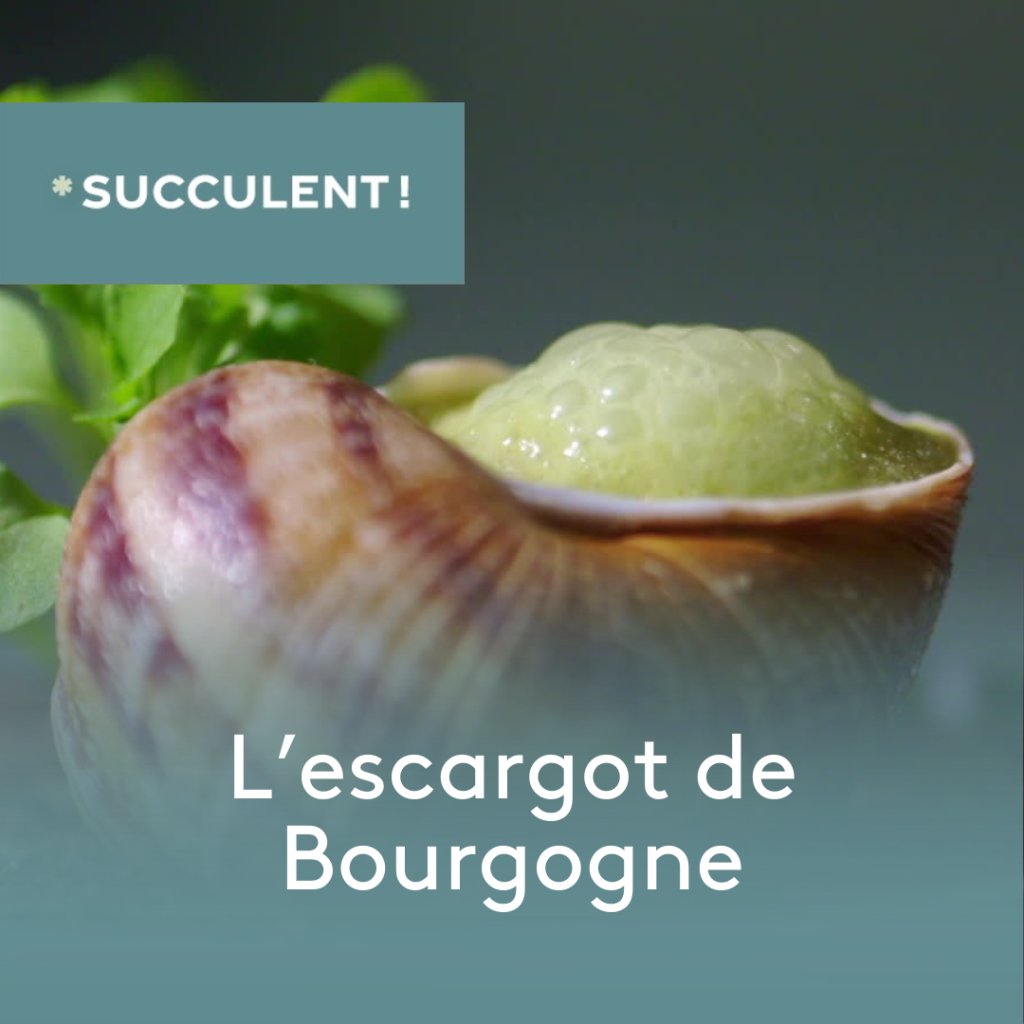 Bourgogne Escargot
