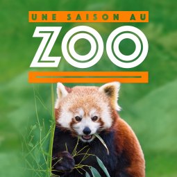 Documentaires Animaliers En Streaming Tous Les