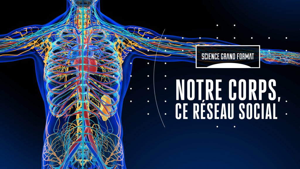 Science Grand Format Notre Corps Ce Reseau Social En Streaming Replay France 5 France Tv