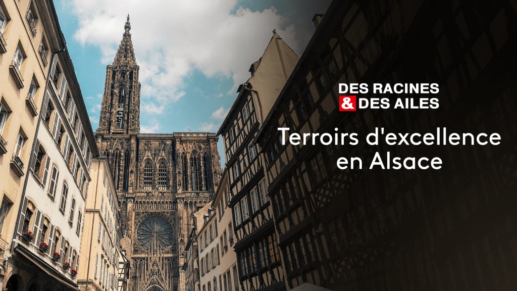 Des Racines Et Des Ailes Terroirs D Excellence En Alsace En Streaming Replay France 3 France Tv