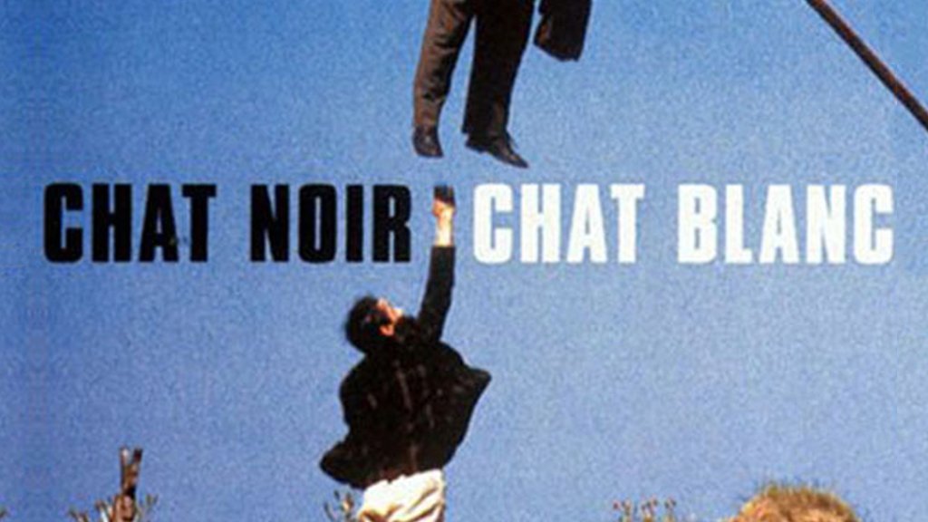 Chat noir chat blanc