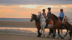 Au galop ! - Replay et vidéos en streaming - France tv