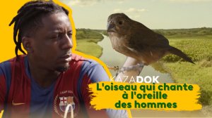 Kazadok - Toutes les vidéos - France TV