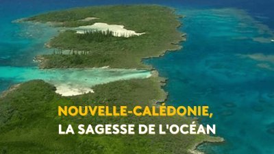 Nouvelle-Calédonie, la sagesse de l'océan - vidéo undefined - france.tv