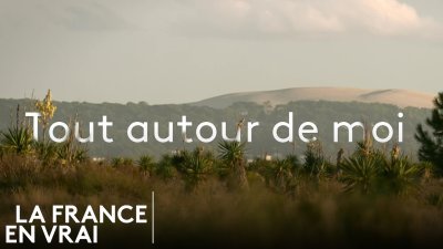 Accéder au direct France 3 noa