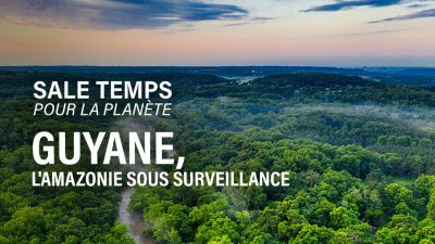 Guyane, l'Amazonie sous surveillance - vidéo undefined - france.tv