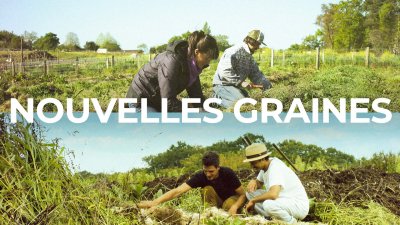 Nouvelles graines - Le documentaire - vidéo undefined - france.tv