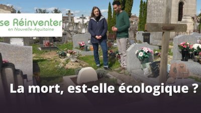 Accéder au direct France 3 noa