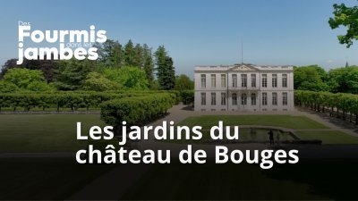 Les jardins du château de Bouges  - vidéo undefined - france.tv