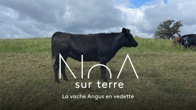 Accéder au direct France 3 aquitaine