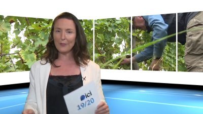 Accéder au direct France 3 noa