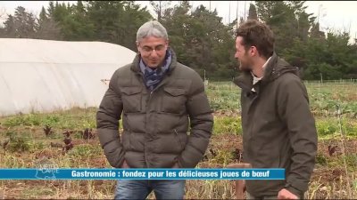 Recette Joues De Boeuf Braisees France 3 14 02 2017