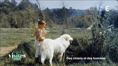 Visites Privées Patou Des Pyrénées Chien De Montagne