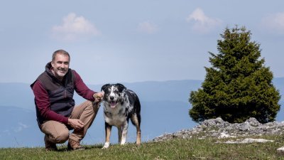 Accéder au direct France 3 alpes