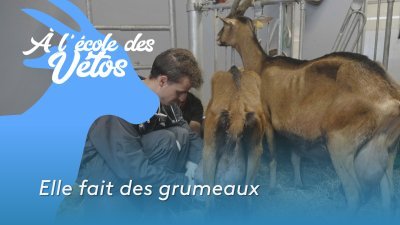 « Elle fait des grumeaux » - vidéo undefined - france.tv