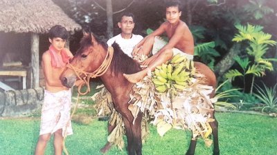 Wallis et Futuna - celui qui a la nostalgie des chevaux - vidéo undefined - france.tv