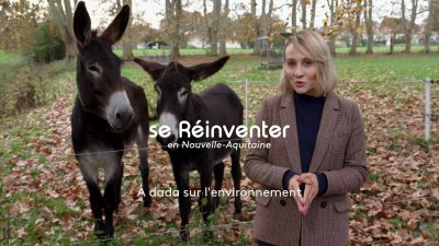 Accéder au direct France 3 noa