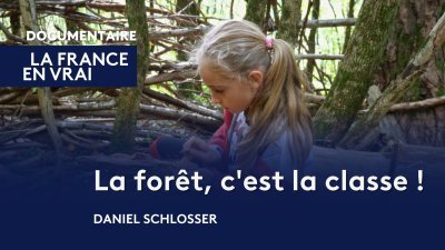 Accéder au direct France 3 basse-normandie