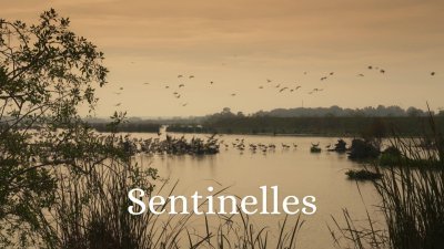 Accéder au direct France 3 aquitaine