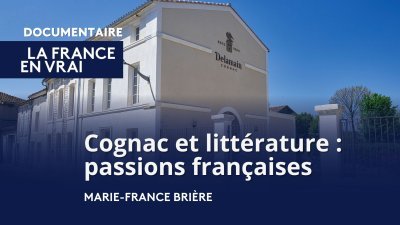 Accéder au direct France 3 noa