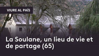 Accéder au direct France 3 noa