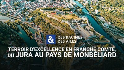 Accéder au direct France 3 alsace