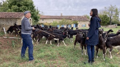 Accéder au direct France 3 alpes