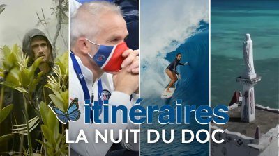 La nuit du doc - vidéo undefined - france.tv