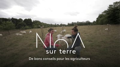 Accéder au direct France 3 aquitaine