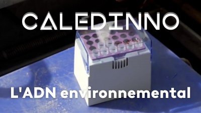 L'ADN environnemental - vidéo undefined - france.tv