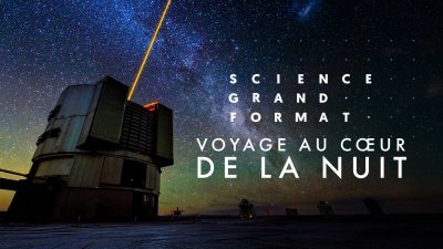 Voyage au coeur de la nuit - vidéo undefined - france.tv