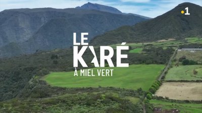 Le Karé à Miel Vert. Samedi 13 janvier 2024 - vidéo undefined - france.tv