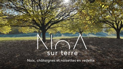 Accéder au direct France 3 noa