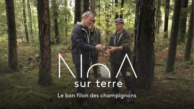 Accéder au direct France 3 noa