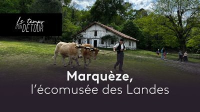 Accéder au direct France 3 auvergne