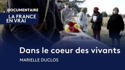 Accéder au direct France 3 languedoc-roussillon