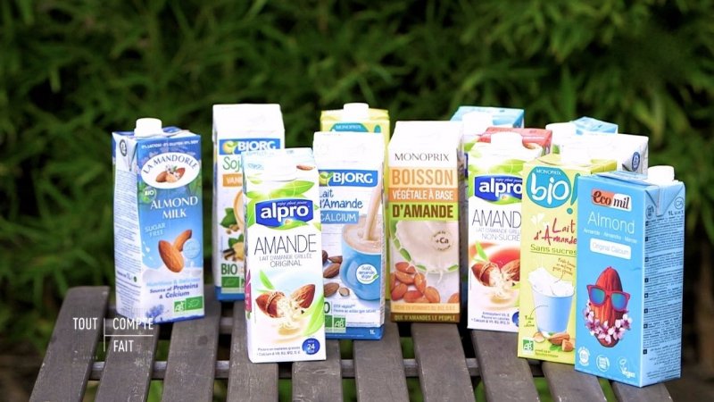 Le succès des laits végétaux : on vous dit tout sur ces alliés