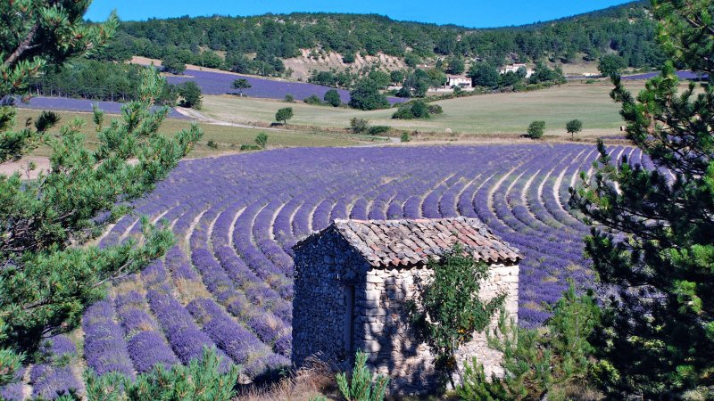 La Provence  Documentaire en replay