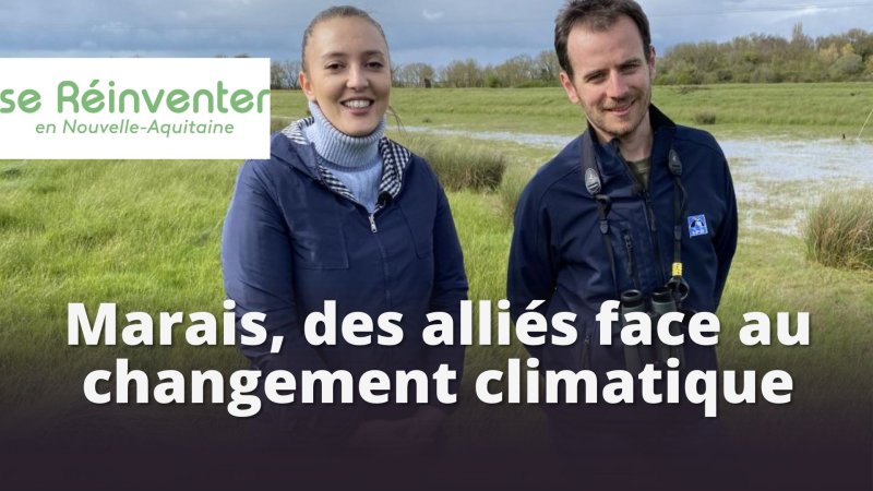 Marais, des alliés face au changement climatique - vidéo undefined - france.tv