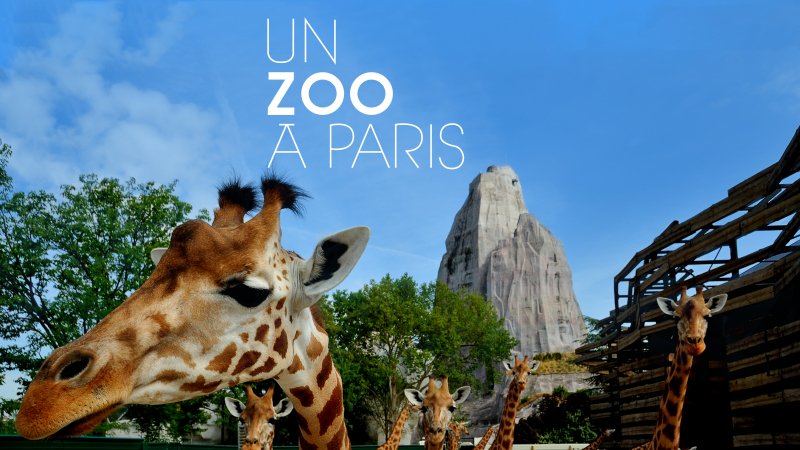 zoo tv tour paris