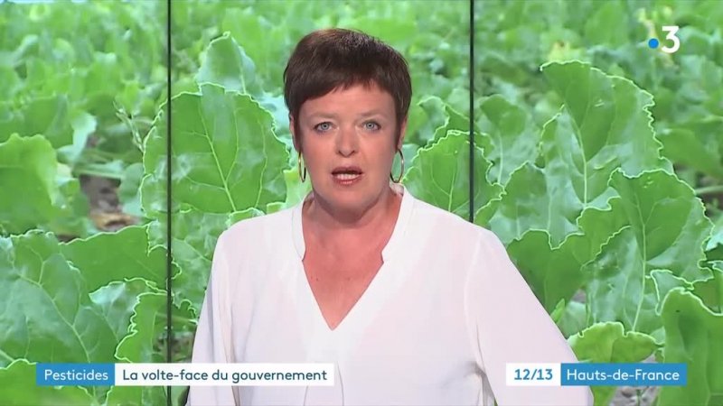 12 13 Picardie Emission Du Vendredi 7 Aout 2020 En Streaming Replay France 3 Picardie France Tv