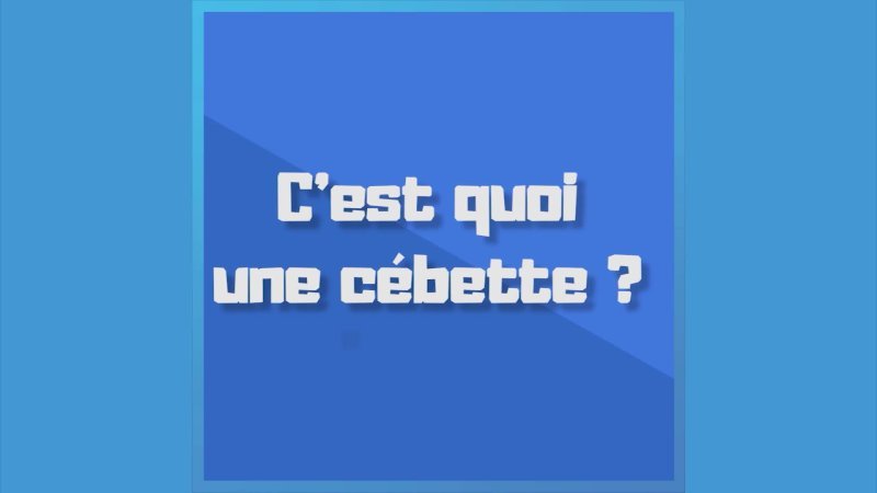 Que Veut Dire "cébette" ? En Replay - Parlez-vous Le Sud