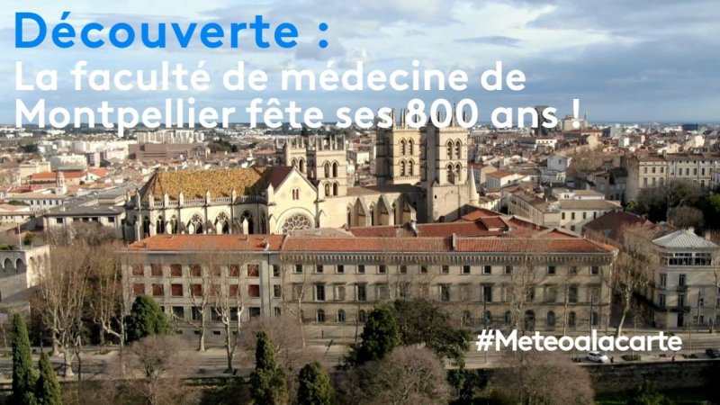 Découverte La Faculté De Médecine De Montpellier Fête Ses 800 Ans Extrait Vidéo Météo à La