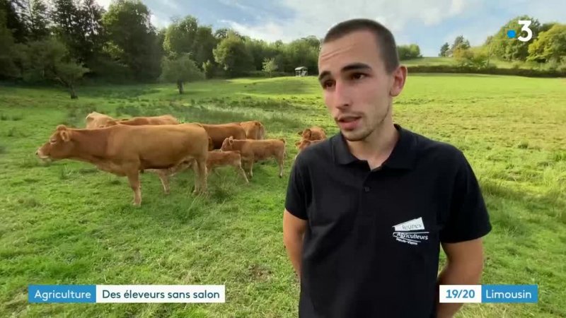 19 20 Limousin Emission Du Mercredi 7 Octobre 2020 En Streaming Replay France 3 Limousin France Tv